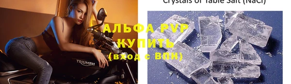 ГАЛЛЮЦИНОГЕННЫЕ ГРИБЫ Елабуга