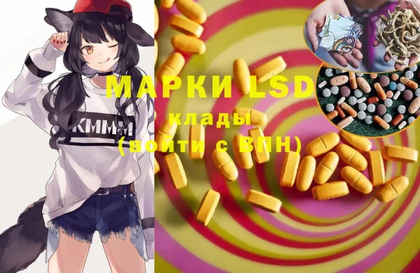 ГАЛЛЮЦИНОГЕННЫЕ ГРИБЫ Елабуга