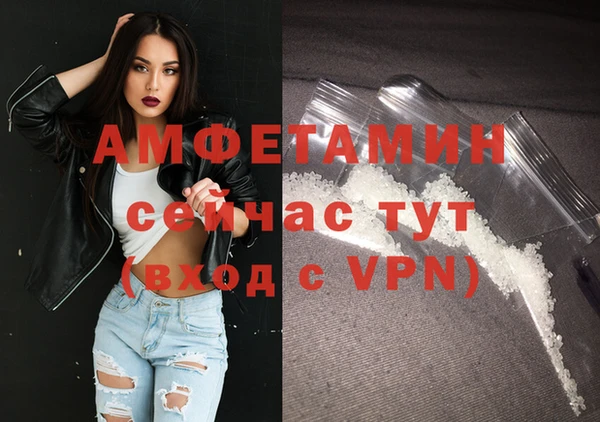ALPHA PVP Елизово