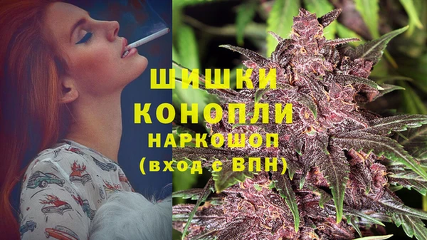 ГАЛЛЮЦИНОГЕННЫЕ ГРИБЫ Елабуга