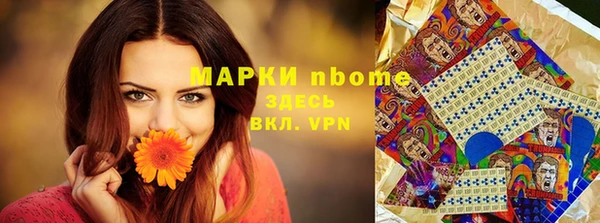 a pvp Ельня
