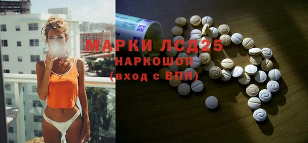 ГАЛЛЮЦИНОГЕННЫЕ ГРИБЫ Елабуга