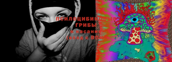 a pvp Ельня
